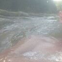 ���������� �����, ���� ������� �����, 37 ���, ������������ ��� c�������� ���������