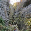 ���������� ������, ���� ������� Artur, 40 ���, ������������ ��� ������, ����� � ���������, c�������� ���������, ���������