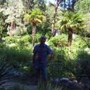  ,   , 38 ,   ,   , c , 