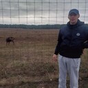 ���������� �����, ���� ������� ������, 41 ���, ������������ ��� ������, ����� � ���������