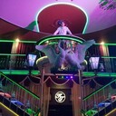 ���������� �����������, ���� ������� ���������, 33 ����, ������������ ��� ������, ����� � ���������, ���������