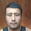  ,   Alimard, 37 ,   ,   