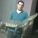  ,   , 44 ,   ,   , c , 