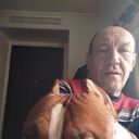  ,   , 54 ,   ,   