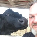 ���������� ����, ���� ������� �����, 62 ����, ������������ ��� ������, ����� � ���������