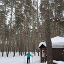 ���������� ������, ���� ������� ����, 46 ���, ������������ ��� c�������� ���������, ���������