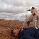 ���������� �����������, ���� ������� ������, 38 ���, ������������ ��� ������, ����� � ���������, c�������� ���������