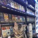 ���������� ������, ���� ������� ������ �����, 43 ����, ������������ ��� ������, ����� � ���������, c�������� ���������, ���������