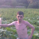 ���������� ��������, ���� ������� ������, 38 ���, ������������ ��� ������, ����� � ���������, c�������� ���������