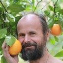  ,   , 62 ,   ,   , c 