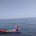  ,   , 43 ,   ,   