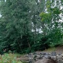 ���������� ��������, ���� ������� �����, 38 ���, ������������ ��� ������, ����� � ���������, c�������� ���������