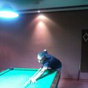 ,   Hovo, 44 ,     , c 