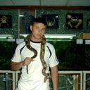 ���������� �����, ���� ������� ����, 36 ���, ������������ ��� ������, ����� � ���������, c�������� ���������