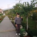  ,   , 62 ,   ,   , c , 