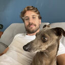 ���������� ������, ���� ������� Gouet, 36 ���, ������������ ��� ������, ����� � ���������