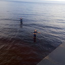 ���������� ����, ���� ������� ������, 30 ���, ������������ ��� ������, ����� � ���������, c�������� ���������