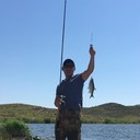 ���������� ���������, ���� ������� ��������, 41 ���, ������������ ��� ������, ����� � ���������, c�������� ���������