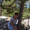  ,   , 57 ,  
