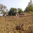 ���������� �������, ���� ������� ���, 38 ���, ������������ ��� ������, ����� � ���������