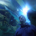 ���������� ������, ���� ������� �����, 52 ����, ������������ ��� ������, ����� � ���������, c�������� ���������