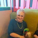  ,   , 46 ,     , c , 