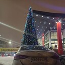 ���������� �����-���������, ���� ������� Ը���, 33 ����, ������������ ��� ������, ����� � ���������