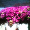  ,   Sharapov58, 66 ,  