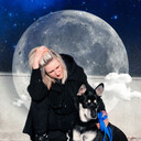 ���������� �������, ���� ������� ������, 22 ����, ������������ 