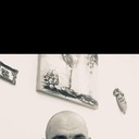  -,   , 40 ,  