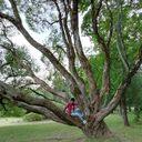 ���������� �����-���������, ���� ������� �����, 55 ���, ������������ ��� ����� � ���������, c�������� ���������