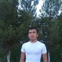  ,   Sanjar, 33 ,     , c 