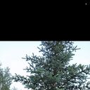 ���������� ������, ���� ����� ����, 19 ���, ������������ ��� ������, ����� � ���������