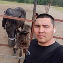 ���������� ������, ���� ������� �����, 31 ���, ������������ ��� ������, ����� � ���������