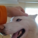 ���������� ������, ���� ������� ����, 47 ���, ������������ ��� ������, ����� � ���������