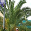 ���������� ��������, ���� ������� ��, 39 ���, ������������ ��� ������, ����� � ���������, c�������� ���������