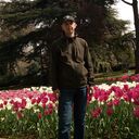 ���������� ���������, ���� ������� ����, 53 ����, ������������ ��� ������, ����� � ���������