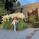 ���������� ���������, ���� ������� ������, 66 ���, ������������ ��� ������, ����� � ���������