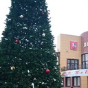 ���������� ������, ���� ������� ������, 38 ���, ������������ ��� ������, ����� � ���������, c�������� ���������