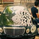 ���������� �������, ���� ������� Dachi, 34 ����, ������������ ��� ������