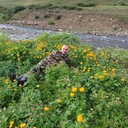 ���������� ��������, ���� ������� Azim, 50 ���, ������������ ��� ������, ����� � ���������, c�������� ���������, ���������