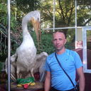 ���������� ���������, ���� ������� �������, 48 ���, ������������ ��� ������