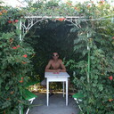 ���������� ���������, ���� ������� ���������, 55 ���, ������������ ��� ������, ����� � ���������