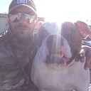 ���������� ��������, ���� ������� ��������, 41 ���, ������������ ��� ������, ����� � ���������, c�������� ���������