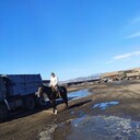 ���������� ��������, ���� ������� ����, 33 ����, ������������ ��� ������, ����� � ���������, c�������� ���������, ���������