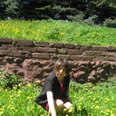  ,   , 56 ,  
