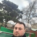  ,   Krasavcik, 43 ,   ,   , c 