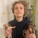 ���������� ������, ���� ����� ����, 23 ����, ������������ ��� c�������� ���������