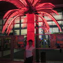  ,   , 45 ,     , c 