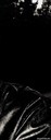  ,   Areg, 34 ,   ,   , c 